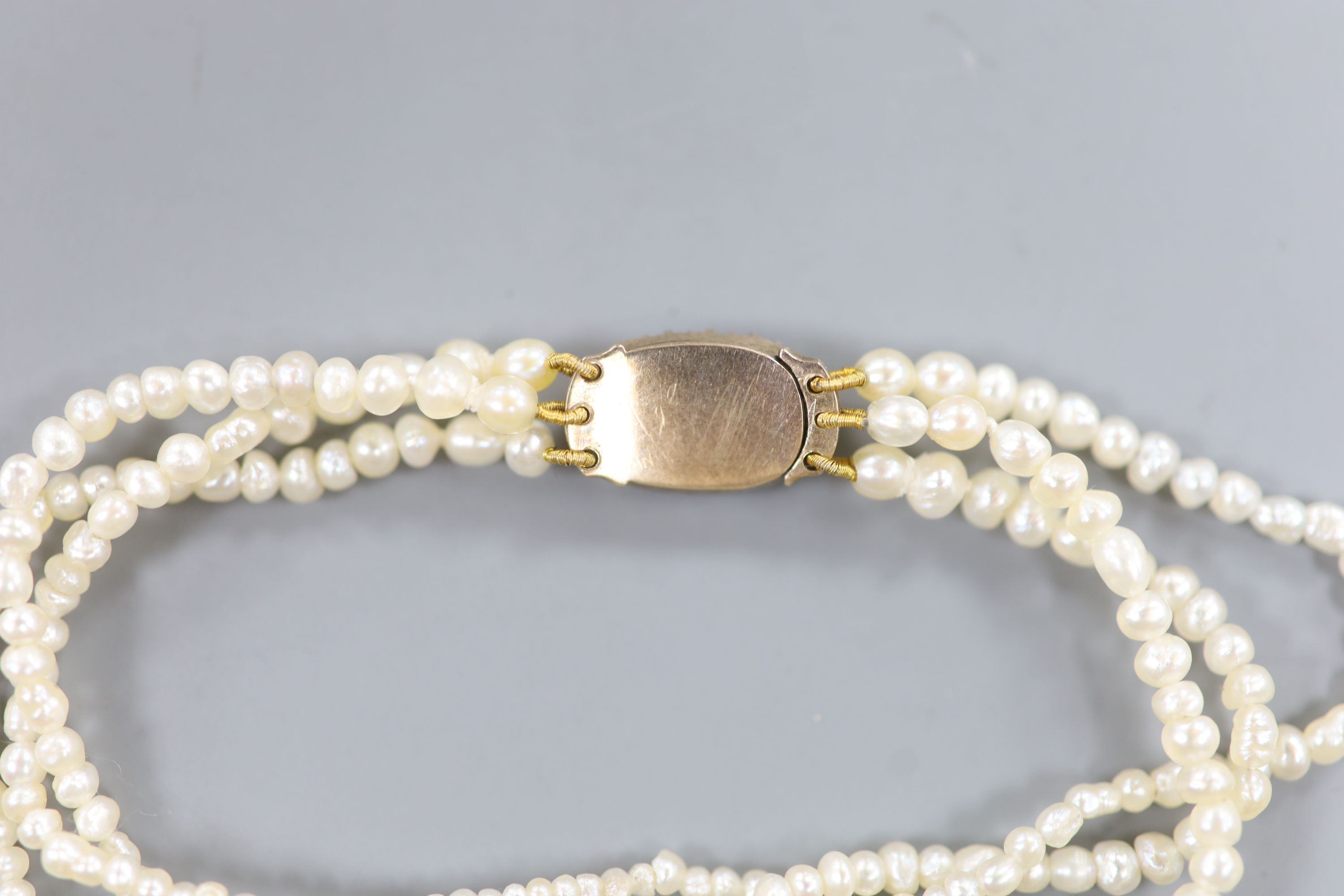 An Edwardian triple strand seed pearl bracelet, with yellow metal and seed pearl set clasp